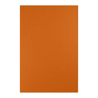 Burnt Orange Area Rug