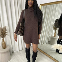 Chunky Roll Neck Knitted Jumper Dress