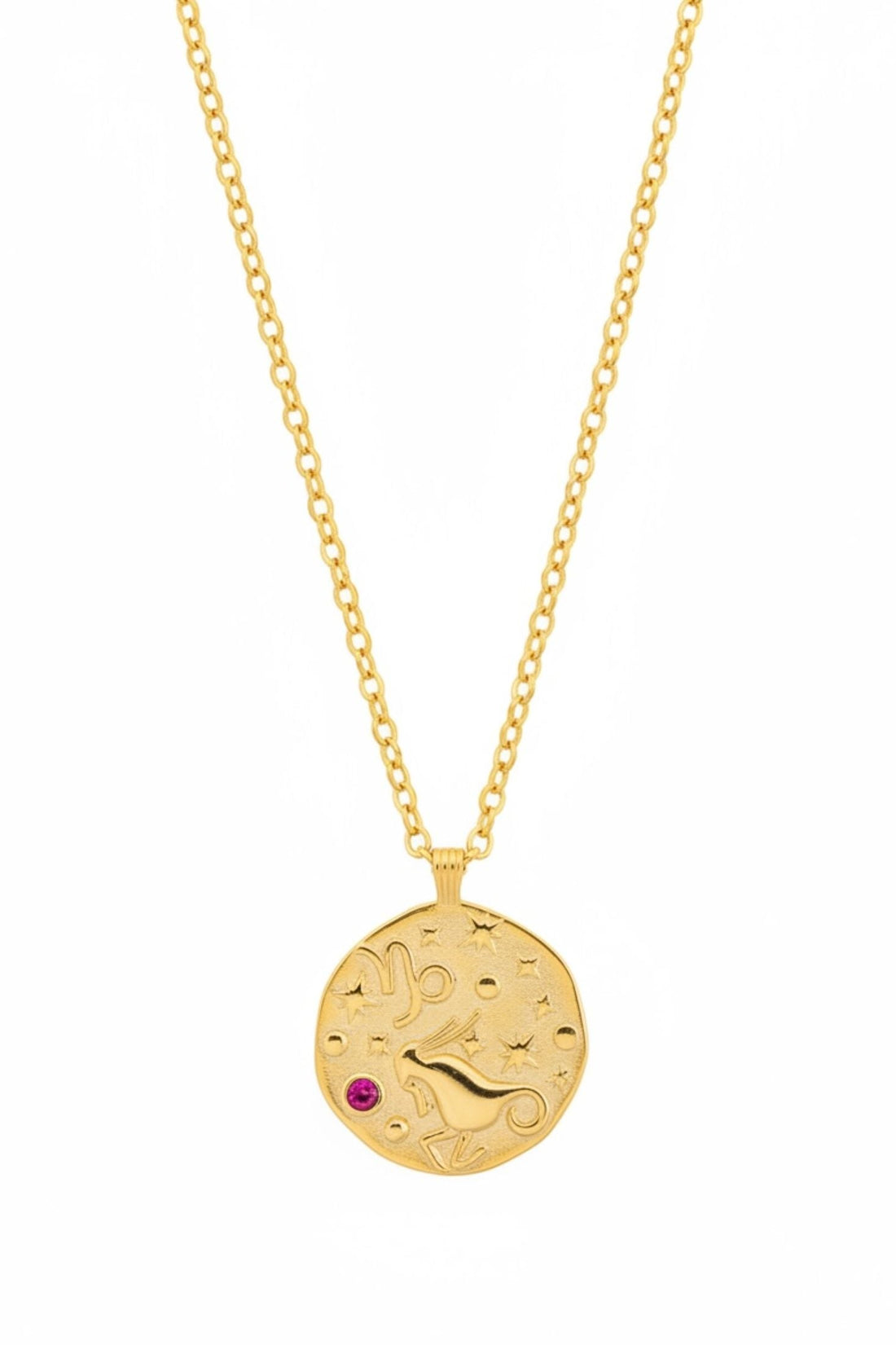 Zodiac Birthstone Talisman Necklace Capricorn Gold-2