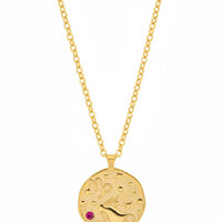 Zodiac Birthstone Talisman Necklace Capricorn Gold-2