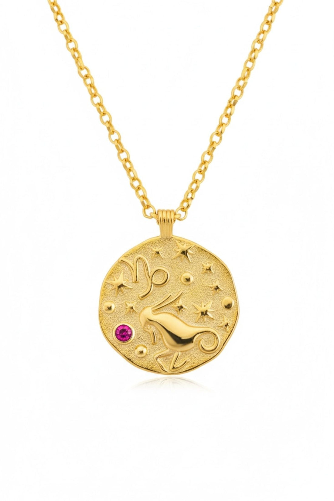 Zodiac Birthstone Talisman Necklace Capricorn Gold-4