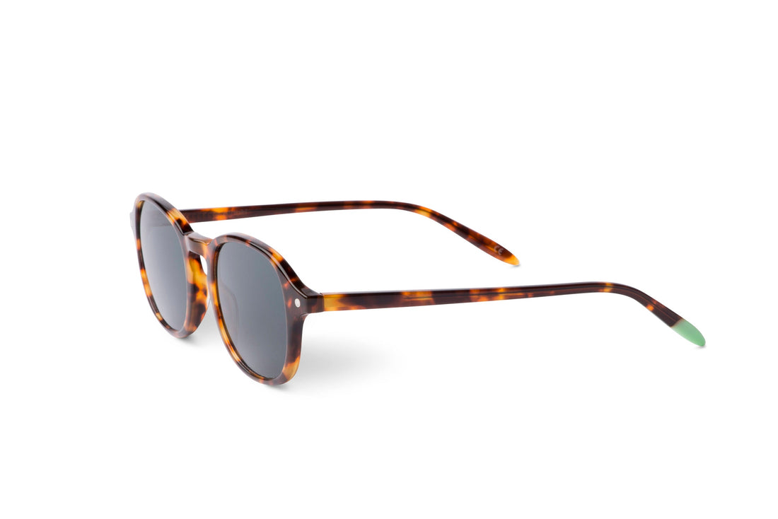 Guilin – Tortoise - SUNGLASSES-2