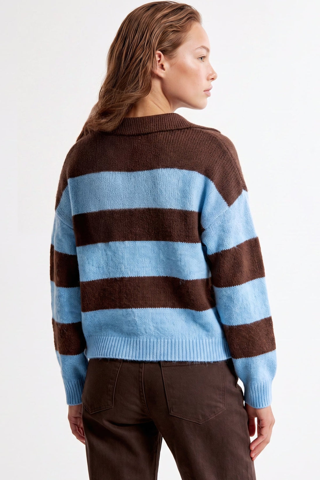 Striped wool-blend jumper with polo collar, blue and brown horizontal stripes, back view