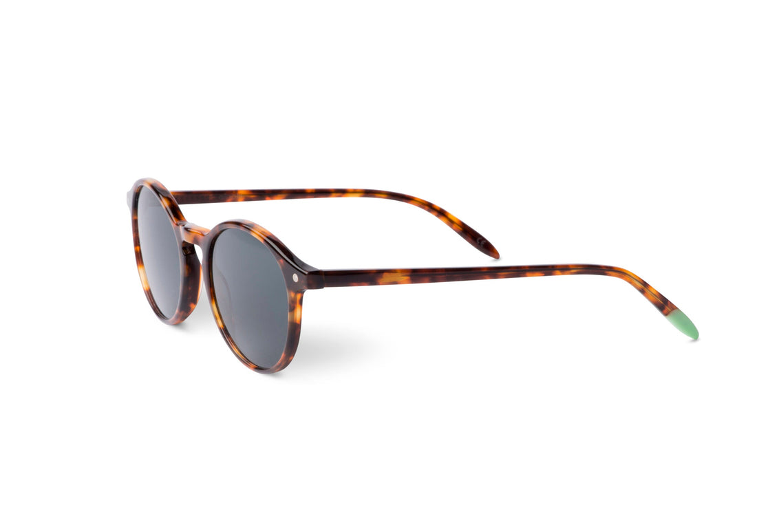 Tortoise sunglasses, angled view, dark lenses with extended bridge and green temple tips