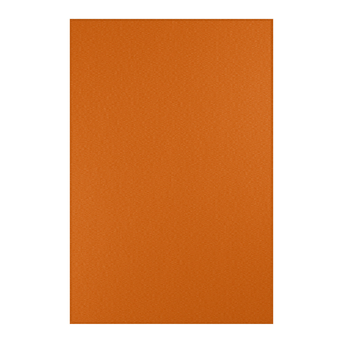 Burnt Orange Area Rug