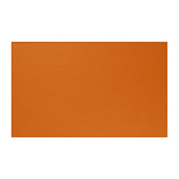 Burnt Orange Area Rug