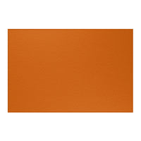 Burnt Orange Area Rug