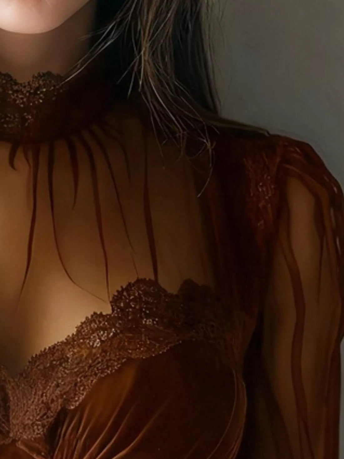 Brown velvet blouse with lace trim and sheer sleeves, close-up of bodice lace