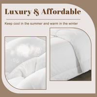 Royal Blue Queen Comforter Set