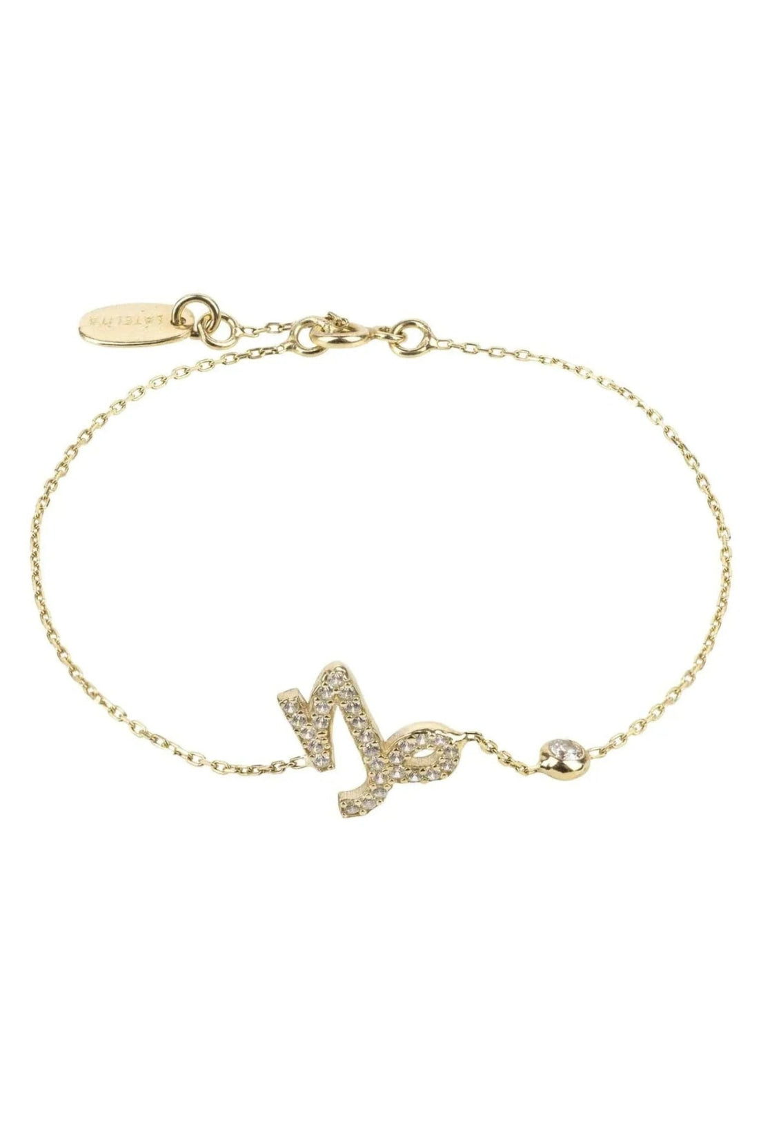 Zodiac Horoscope Star Sign Bracelet Capricorn-4