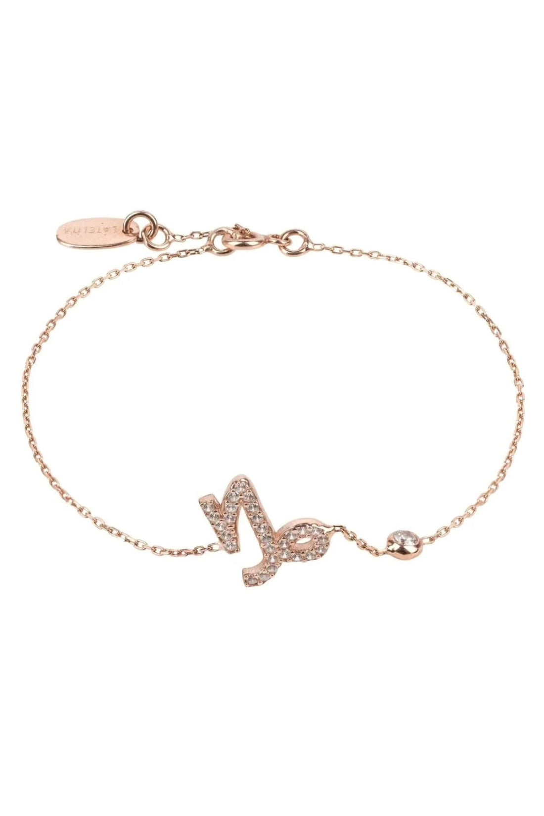 Zodiac Horoscope Star Sign Bracelet Capricorn-0